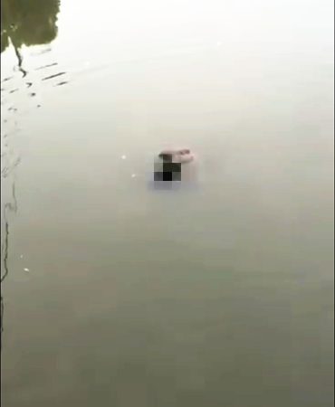 微信截图_20190617091129.png