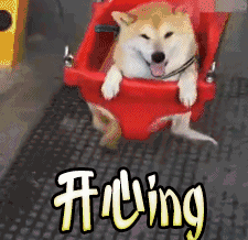 fgf.gif
