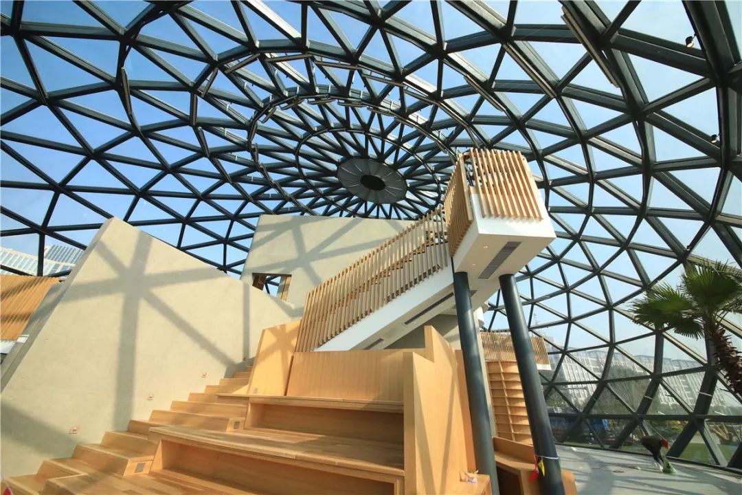 548.jpg