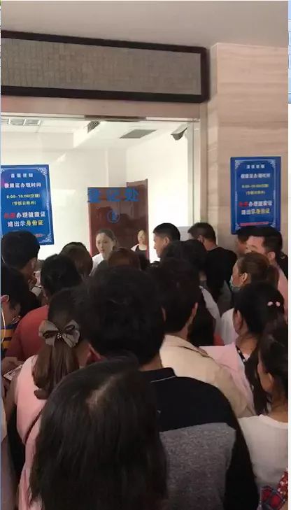 zhi.jpg
