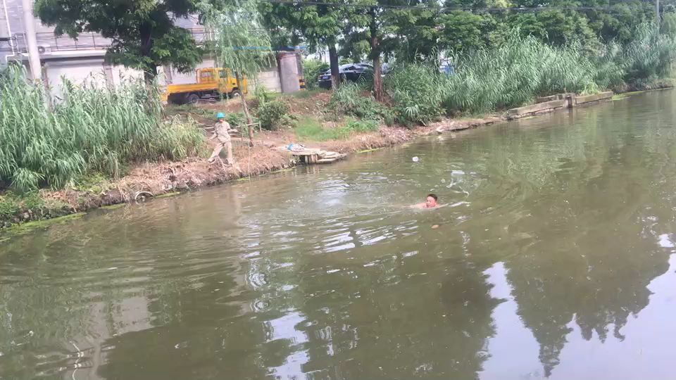 ncik.jpg