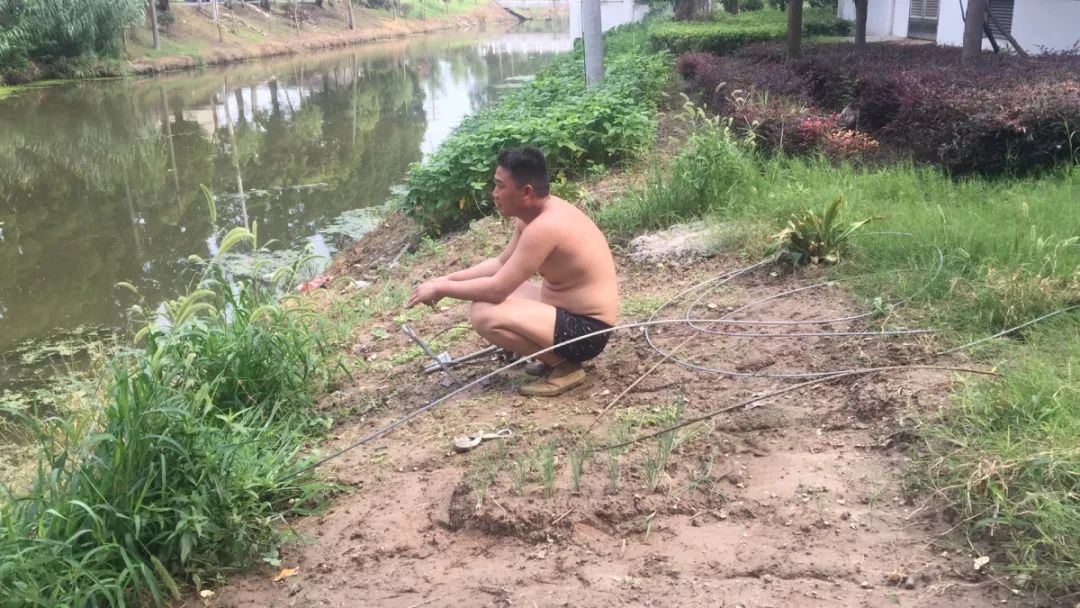 并预测市场.jpg