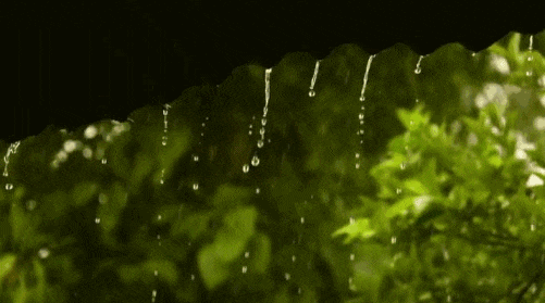 asd.gif