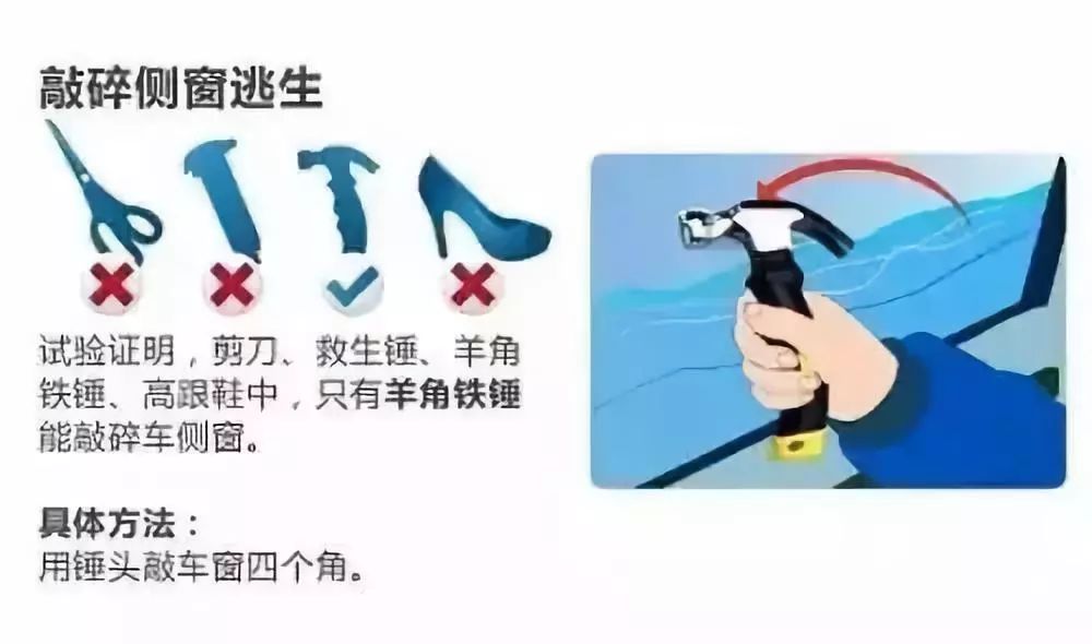 chui.jpg