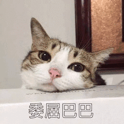 9.gif