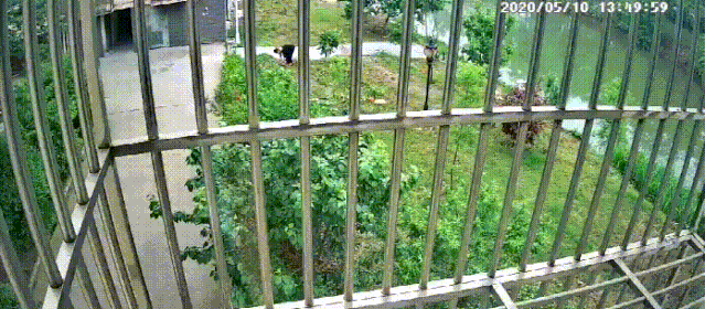 4.gif