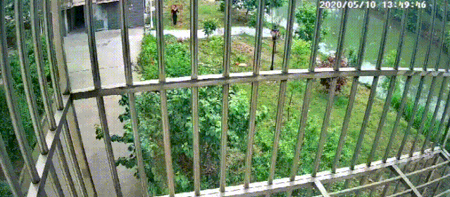 3.gif