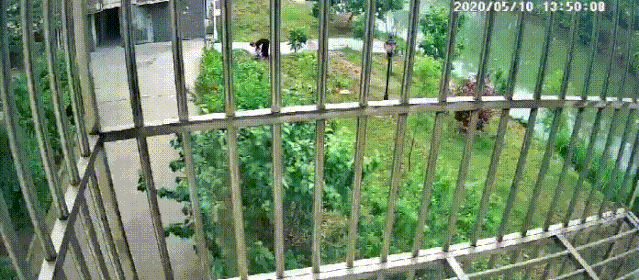 7.gif