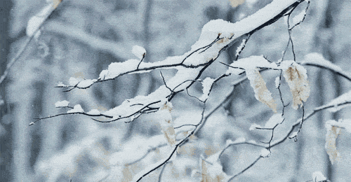640 (1).gif