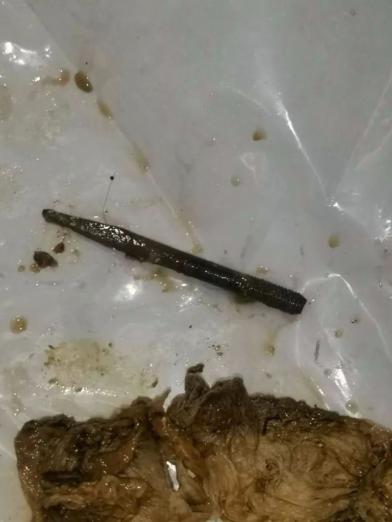 59.jpg
