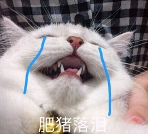 39.png