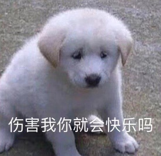 31.png