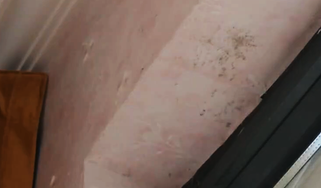 19.png