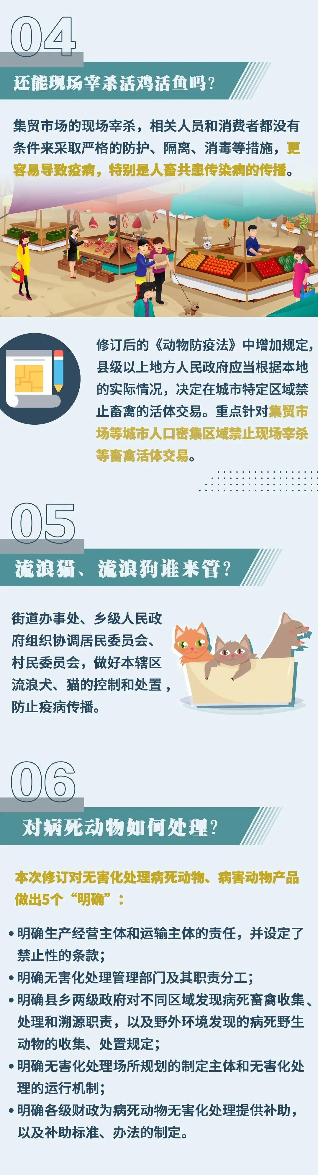 46.jpg