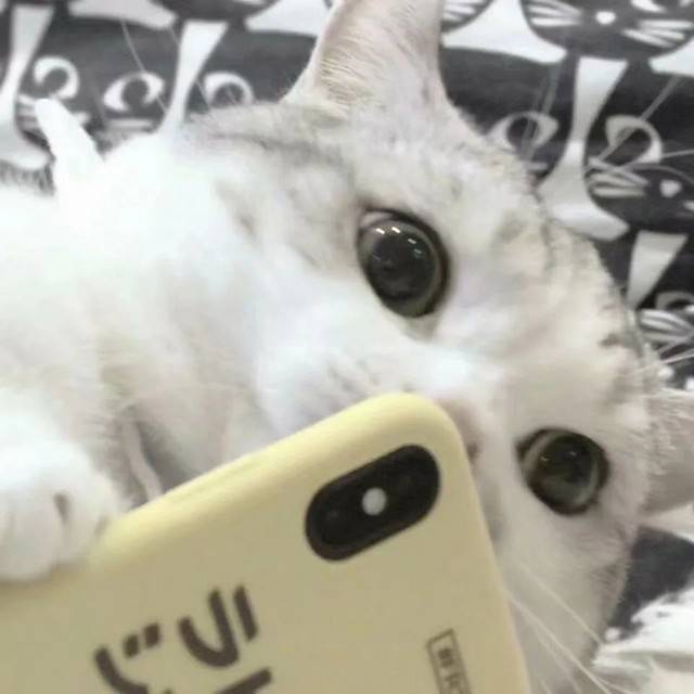 83.jpg