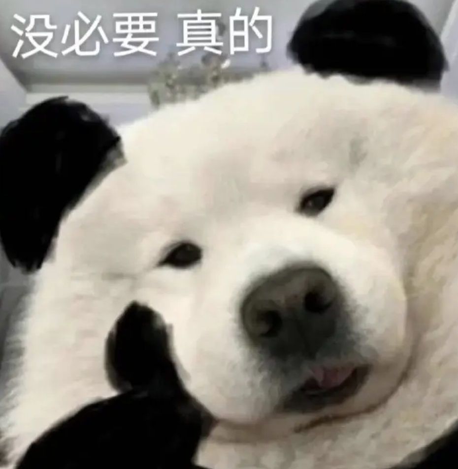 17.png