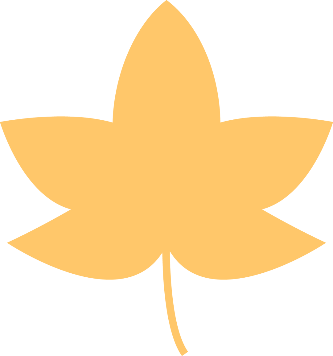 51.png