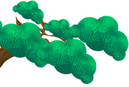50.png