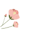 33.gif