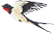 44.png