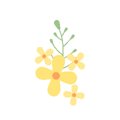 43.gif