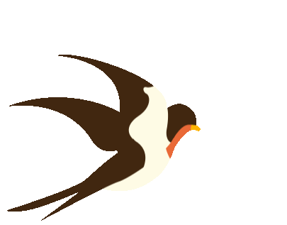 13.gif