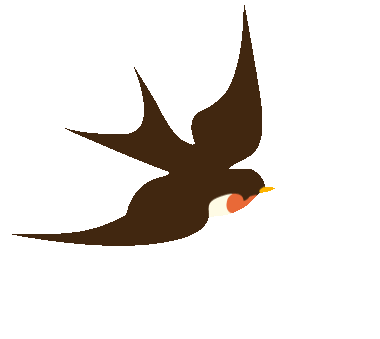 11.gif
