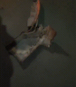 26.gif
