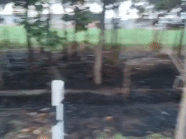 16.gif