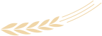29.png