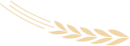 28.png