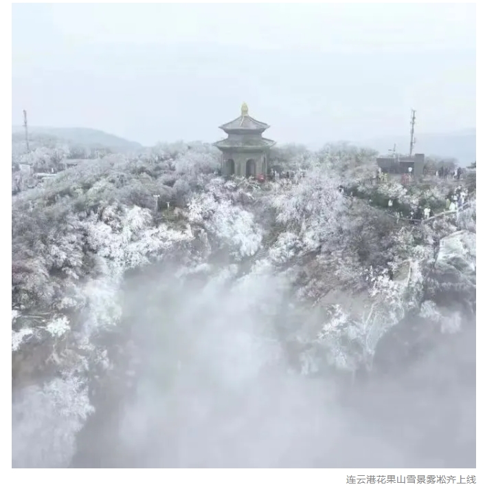 微信截图_20250223123314.png